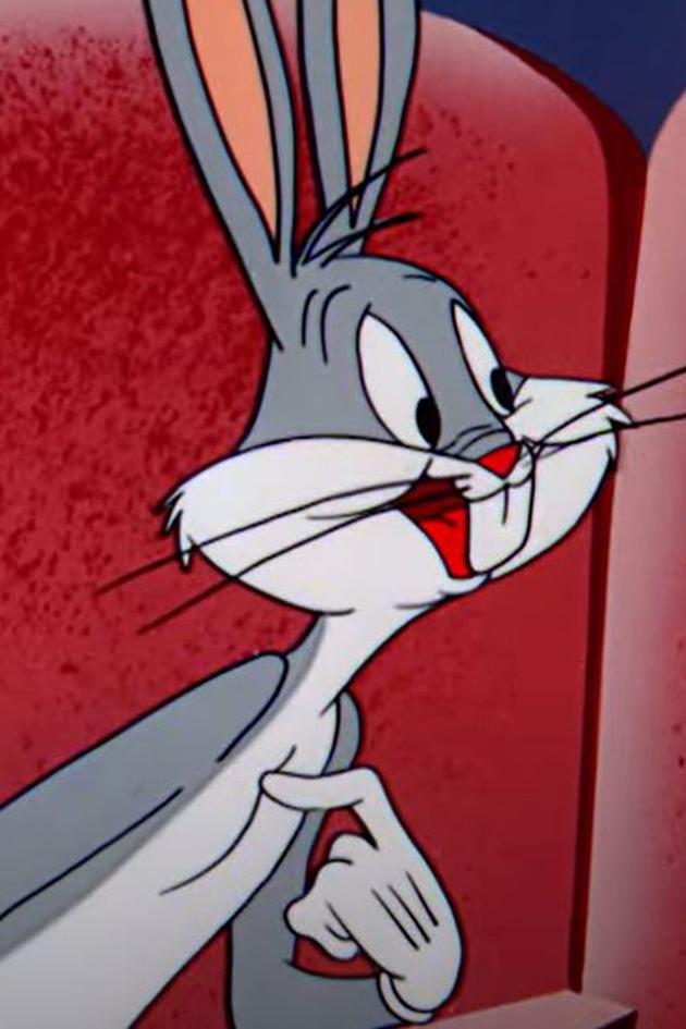 Rabbits, Ducks & No Turkeys