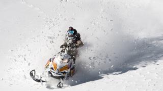 Avalanches in America & Alaskan Spines