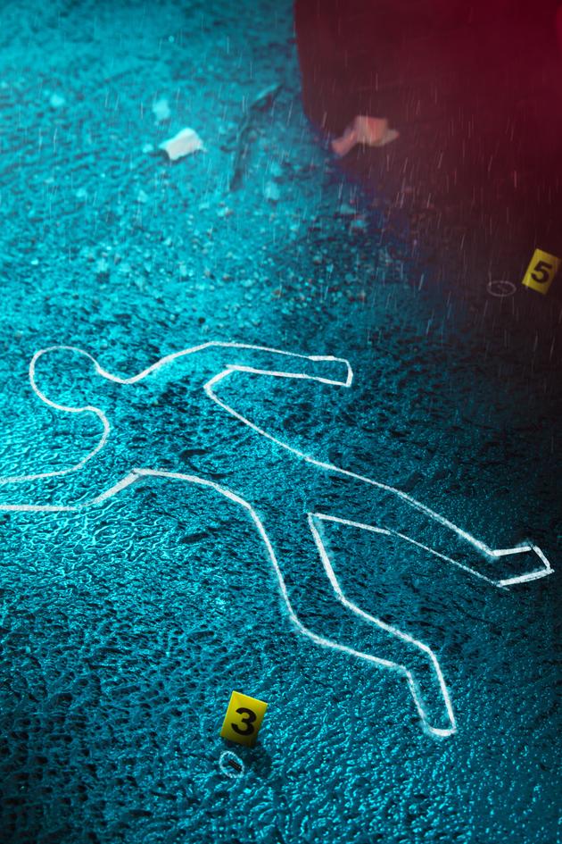 'Twas the Murder Before Christmas