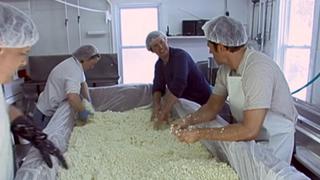 Cheese Maker Cheese Maker
