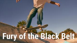 Fury of the Black Belt