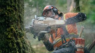 The Last Woodsmen