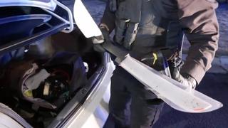 Pit Maneuver Pursuit