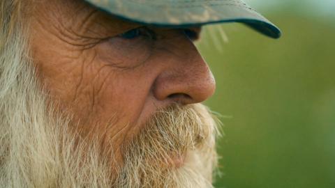 It's Good to Be King