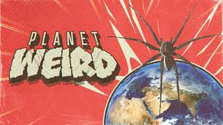  watch Planet Weird