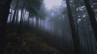 The Rendlesham Forest Incident
