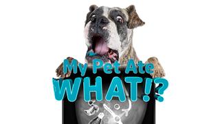 My Pet Ate What?