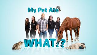 My Pet Ate What?