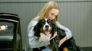 Under Where?! Under Where?!