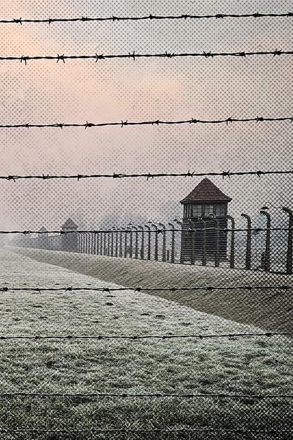 What Happened at Auschwitz