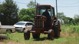 Roadworthy Rescues