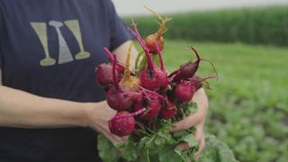 Beets With Emma Bengtsson Beets With Emma Bengtsson