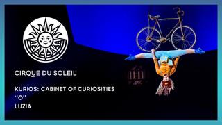 Kurios: Cabinet of Curiosities, "O" & Luzia
