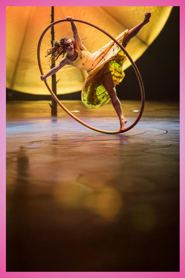 Luzia - The Story of an Encounter