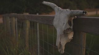 Mystery In Cuero Mystery In Cuero
