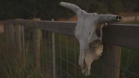 Mystery In Cuero