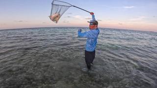 Saltwater Heaven Saltwater Heaven