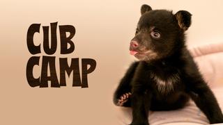 Cub Camp