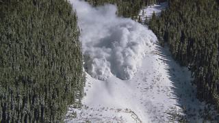 Avalanche vs. Snowmobile, The Real 6 Million Dollar Man Crash, When Tires Attack & Train Track Mayhem Avalanche vs. Snowmobile, The Real 6 Million Dollar Man Crash, When Tires Attack & Train Track Mayhem