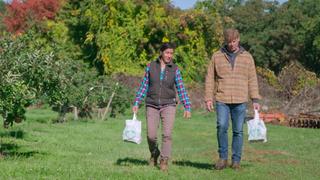 Westford: Abating the Old, Seeding the New Westford: Abating the Old, Seeding the New