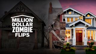 Million Dollar Zombie Flips