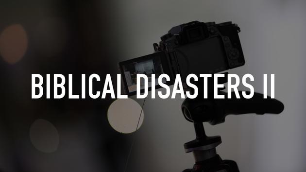 Biblical Disasters II