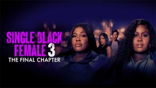 Single Black Female 3: The Final Chapter