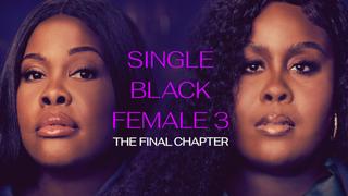 Single Black Female 3: The Final Chapter