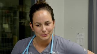 Magnetic Milestone Magnetic Milestone