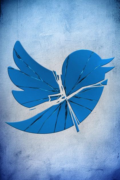 Twitter: Breaking the Bird