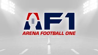 Arena Football One