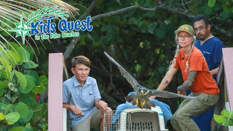 Kids Quest in The Palm Beaches