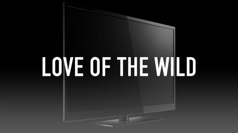 The Wilds of Russian Karelia