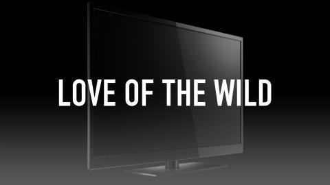 Love of the Wild