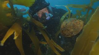 Phantom Wreck Phantom Wreck