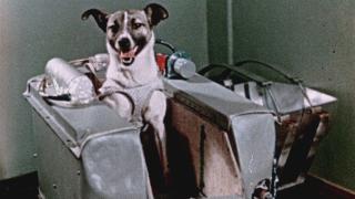 The UnBelievable With Dan Aykroyd