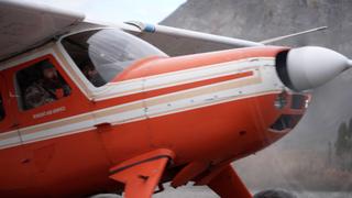 Back in the Brooks Back in the Brooks