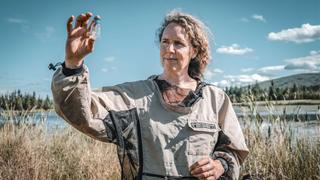 The Built Environment