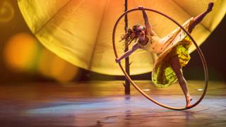 Cirque Presents: Luzia