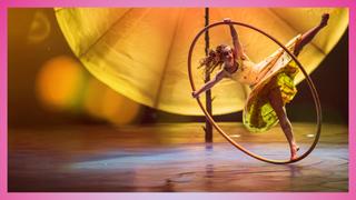 Cirque du Soleil Presents: Luzia