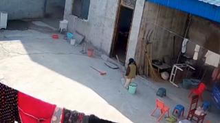 Sterling and Lolo Wood CXXXIII Sterling and Lolo Wood CXXXIII