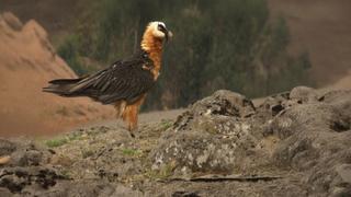 Smart & Skillful Smart & Skillful