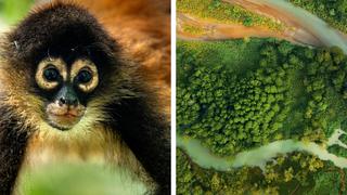 Heart of the Osa & Kalu: Growing up Wild