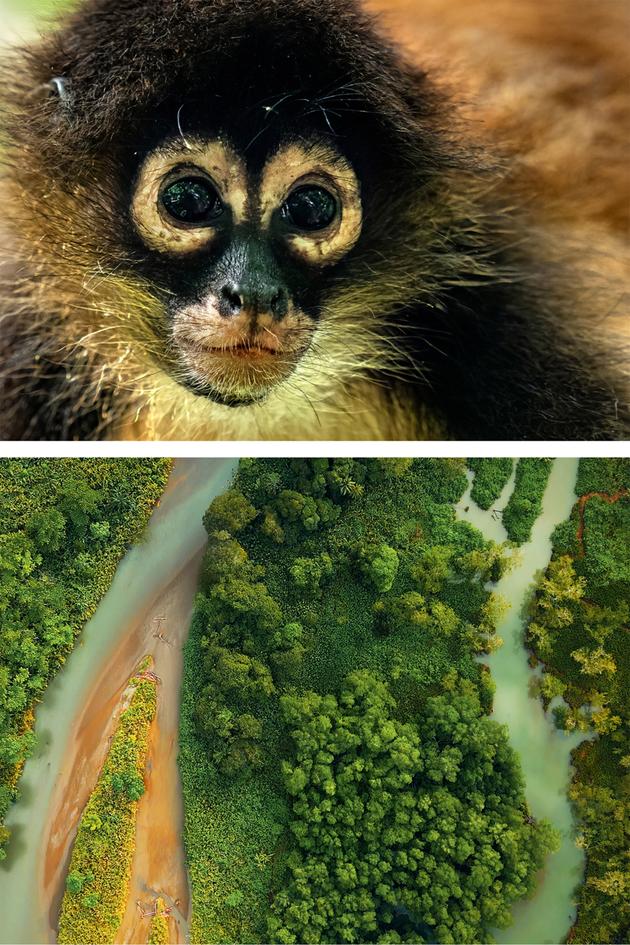 Heart of the Osa & Kalu: Growing up Wild