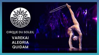 Varekai, Alegria & Quidam