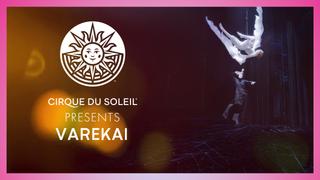  watch Cirque du Soleil Presents: Varekai