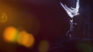 Cirque Presents: Varekai