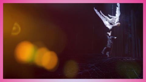 Cirque du Soleil Presents: Varekai