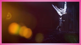 Cirque du Soleil Presents: Varekai