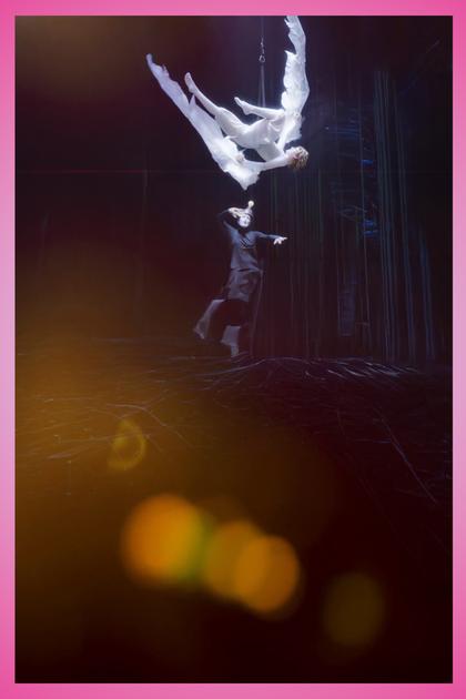 Cirque du Soleil Presents: Varekai